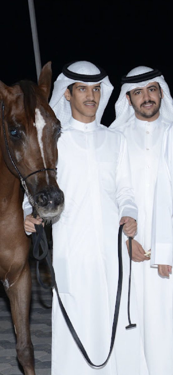 kwt___s9's tweet photo. للخيل عز وراعي الخيل خيال
ياسعد من هو في حياته قنـاها

لا شفتها بـ العين تلعب وتختال
تحفر حوافرها بكبدي غـلاهـا https://t.co/qinYHQs5iR