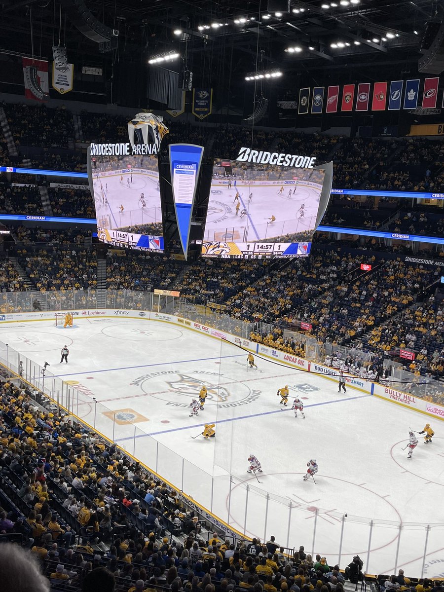 Enjoying the Predators game