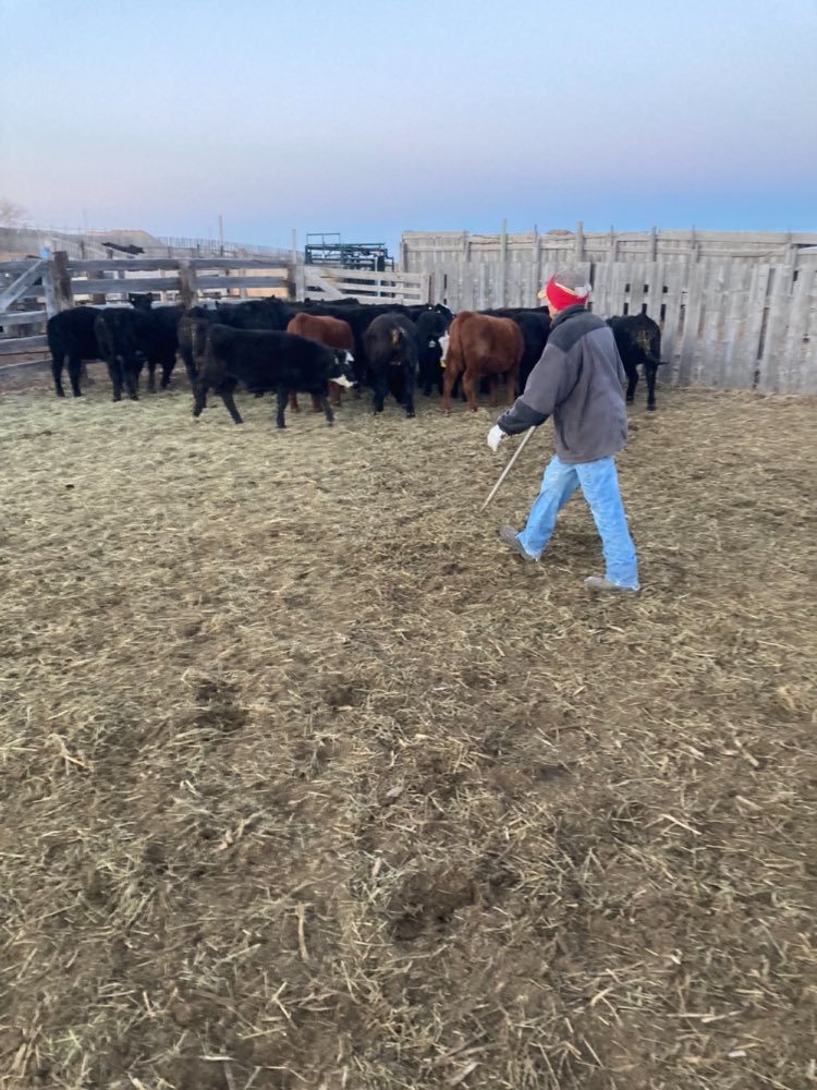 Scott Gerbrandt tweet media