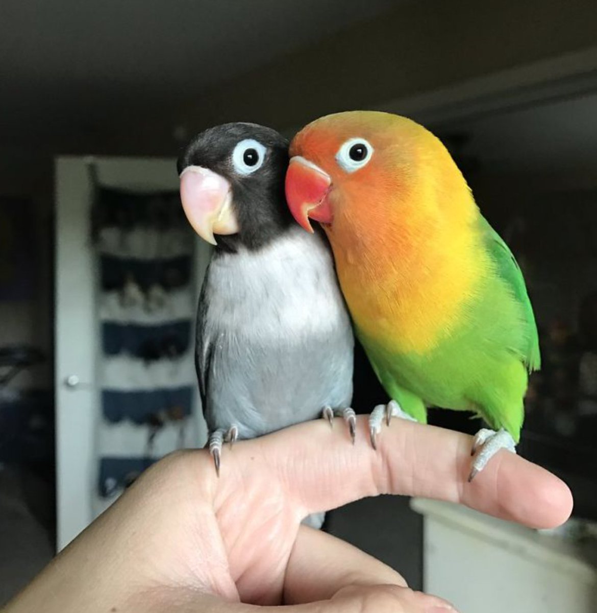 Taylor Burke tweet media