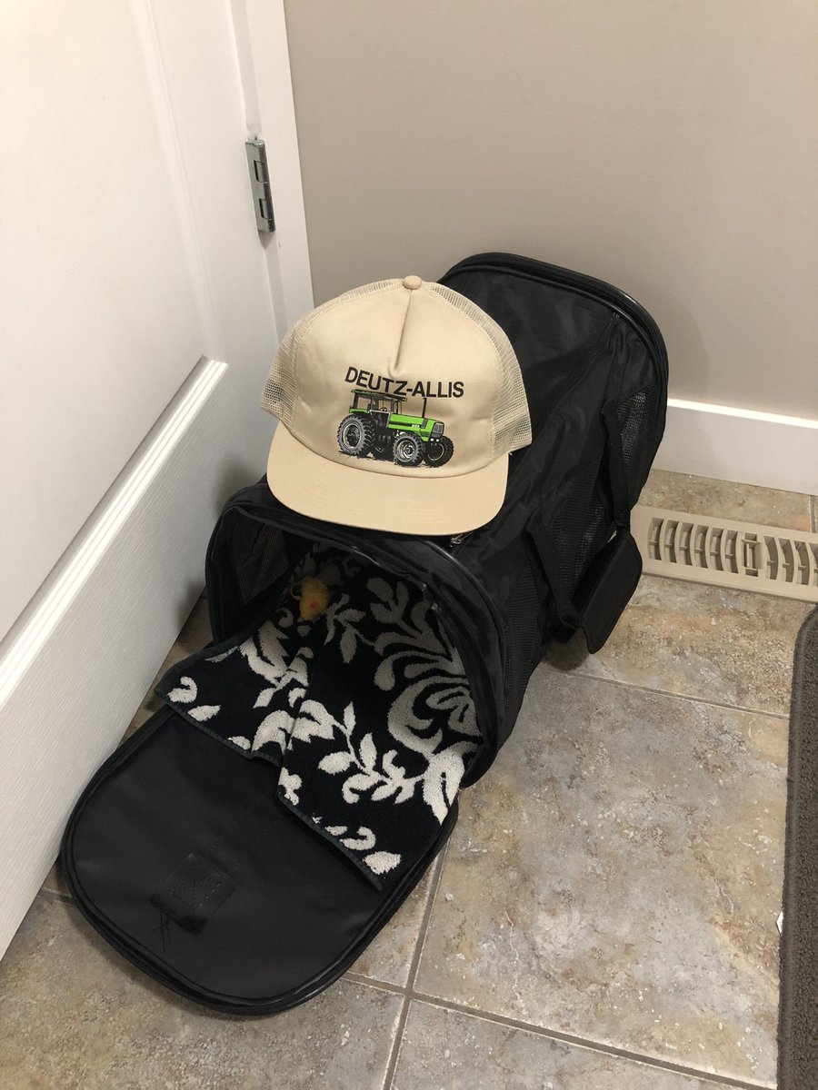 ThingsHatted's tweet image. Cat Carrier wearing a Vintage Deutz Allis Tractor hat. #aliexpress #cats #CatsofTwittter #dogs #cute #tractor #farmer #31DaysOfHalloween #5G #Halloween #PlayToEarn #thursdayvibes #ThursdayNightFootball #ThursdayThoughts #furry #mesh