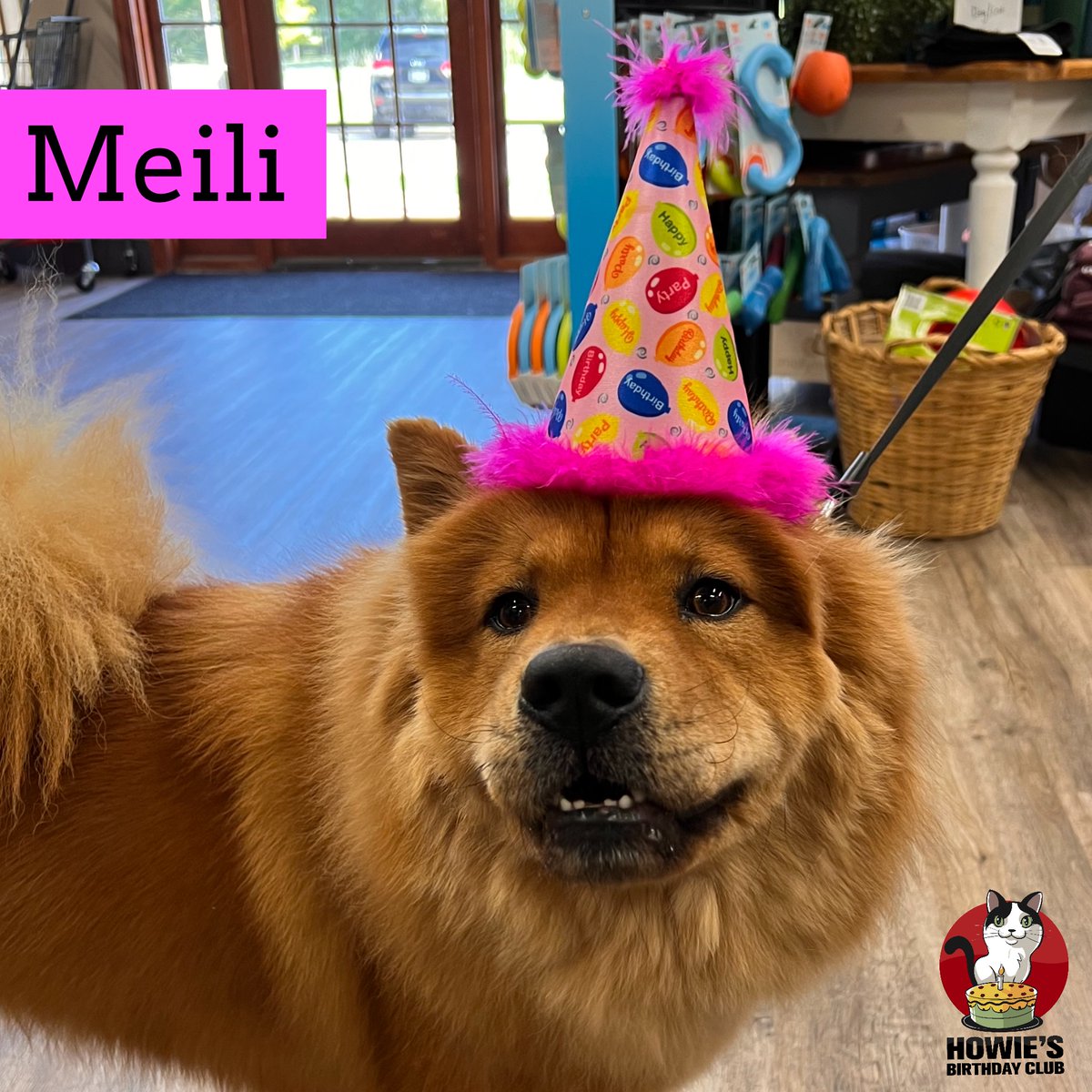buschpetproduct's tweet photo. Happy 3rd Birthday Meili!
🎂
#buschpet #meili #dogsinhats #howiesbirthdayclub #chow #chowchows #chowsofinstagram #beautiful #dogs #dog #celebrate #birthdaygirl #dogsofinstagram #instadog #dogstagram #dogsofmissouri #dogsofsemo #capegirardeau #doglife #dogday #dogstories #bestwoof https://t.co/fZPBTiEx7t
