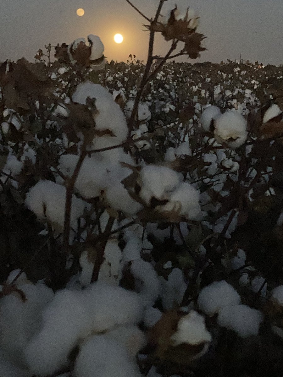 PerkinsRuss's tweet photo. My favorite time of year. Full moon views https://t.co/g25tJMwQAu