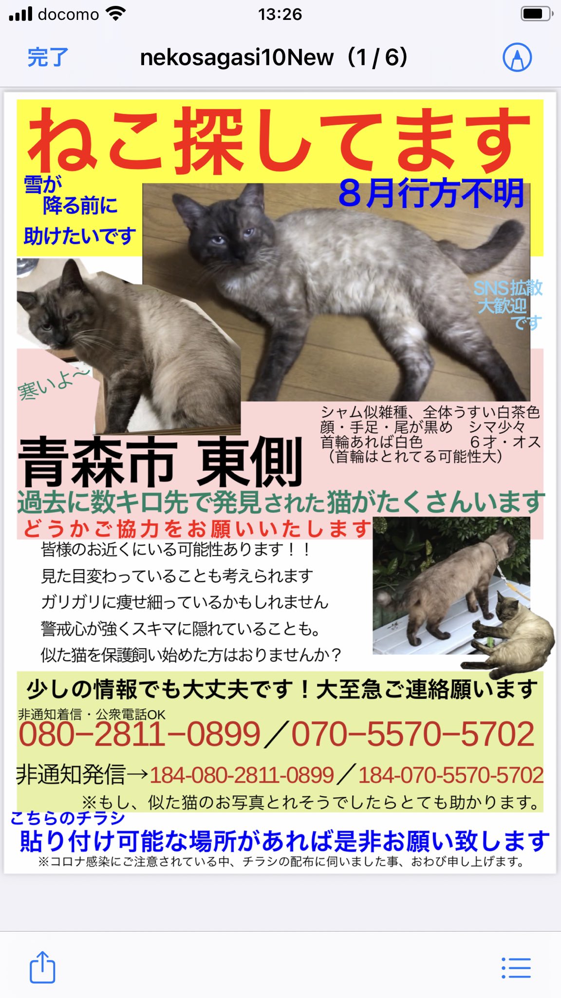 青森🐈⬛行方不明❗️猫探し中‼️〜拡散希望 青森🐈⬛行方不明❗️猫探し中‼️〜拡散希望