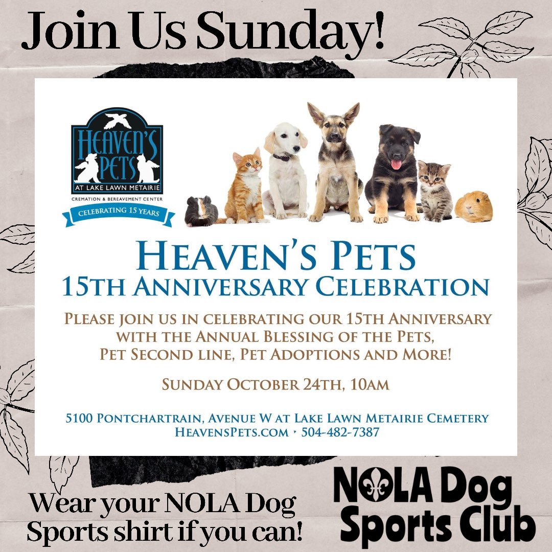 BarqsCattleDog's tweet photo. @MargaretOrr maybe you can join us for a pet blessing &amp; a pet second line on Sunday Morning?  Heaven’s Pets provides such a great service for our community. https://t.co/udkCiBCD95