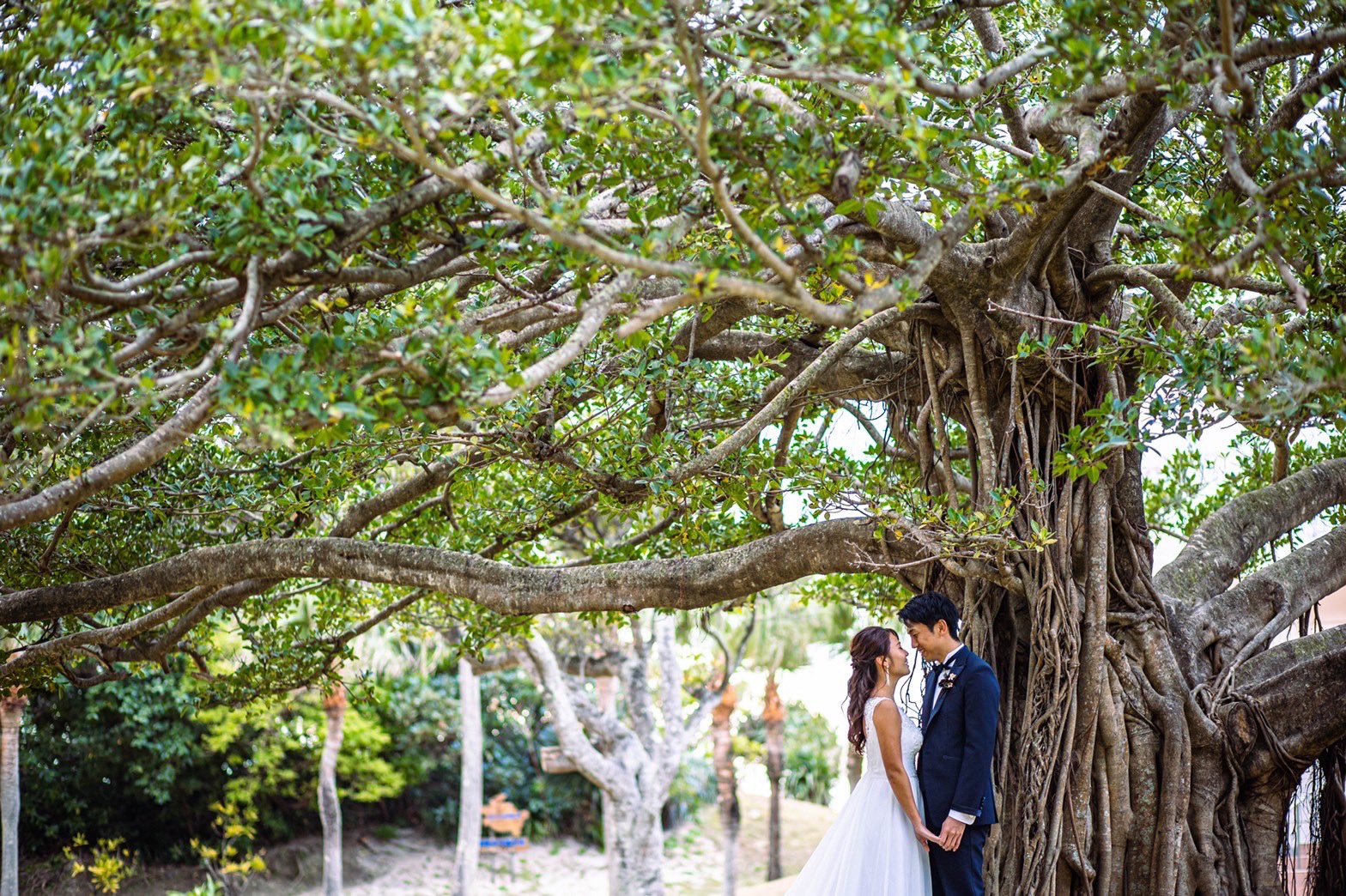 The Scene ザ シーン 今日は夫婦の日ですね 一生の思い出に残る結婚式 を世界自然遺産にも登録された奄美大島にあるhotel The Sceneで挙げてみませんか Hotelthescene 奄美大島 世界自然遺産 夫婦の日 T Co Whynkfecun