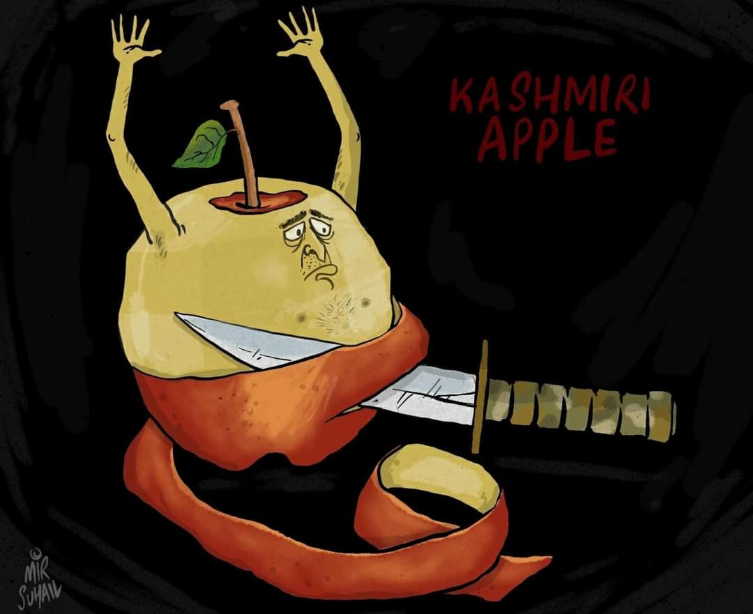 Dr__S_A's tweet photo. Kashmiri Apple..
#Kashmiris
#apple
#militarycheckpoints https://t.co/hF3WjdcZU1