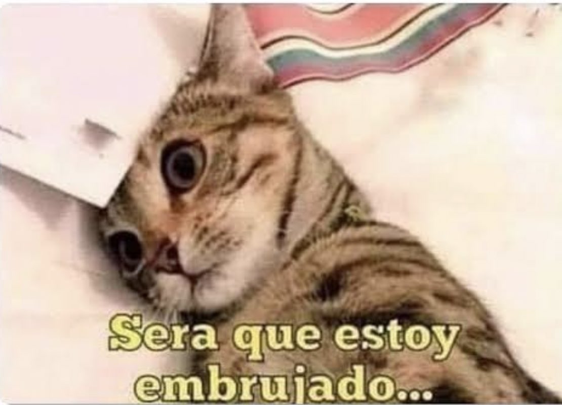 Guarromantico_'s tweet photo. Aquí pensando en lo mucho que trabajo y nunca tengo dinero. https://t.co/5KQGFxek67