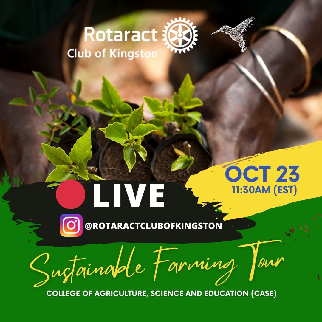 KgnRotaractClub's tweet photo. If you didn't get a chance to book your spot, don't worry, stay tune to our IG page as we take you on this journey, Sat. Oct. 23, 2021 @ 11:30am (EST)/10:30 JA time. @wedoagriculture
@rotaractd7020
#ecod7020 #district7020 #eco #rcok #generationrestoration #recycle #plastic https://t.co/8CJSEshhK0
