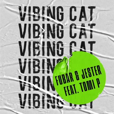 Our new tune VIBING CAT is out now on all Digital platforms…. GET IT HERE: lnk.to/vibingcat