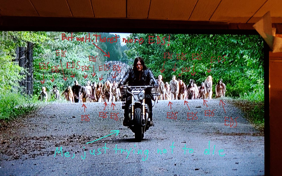 Mel, confuser of transphobes tweet media