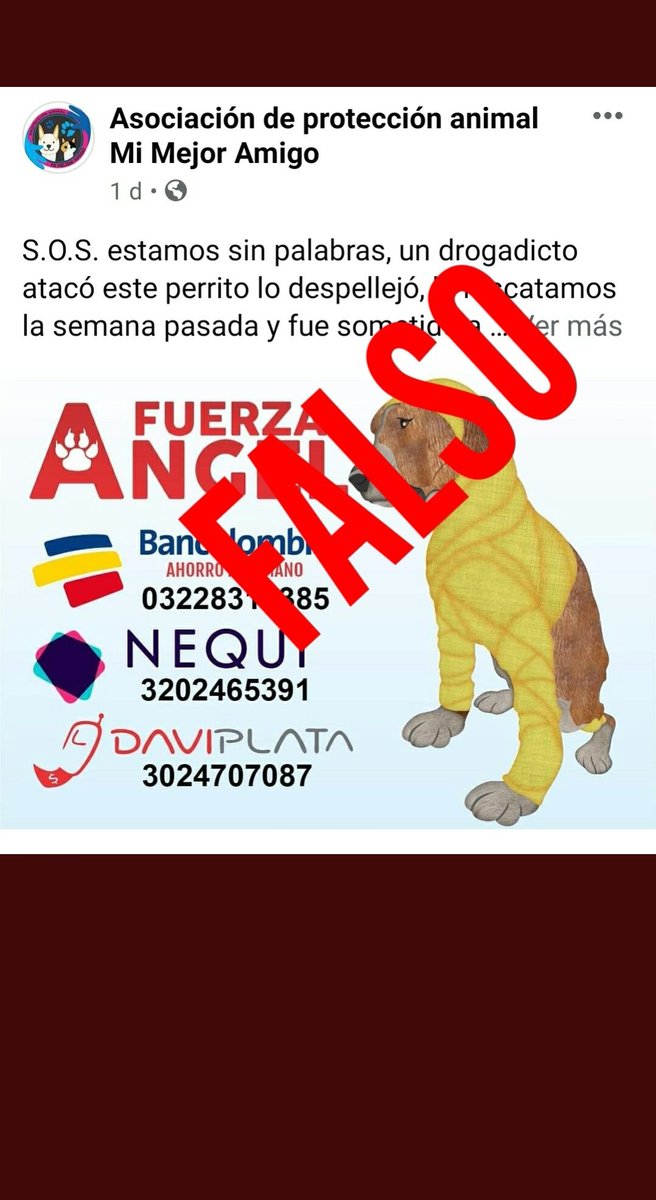 Harrison Peña tweet media