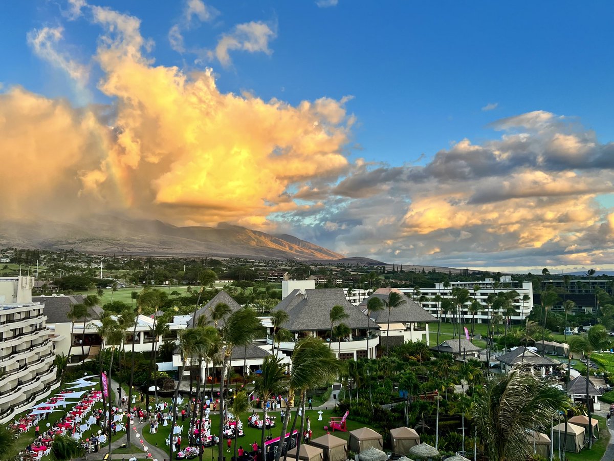 Jon Freier tweet media