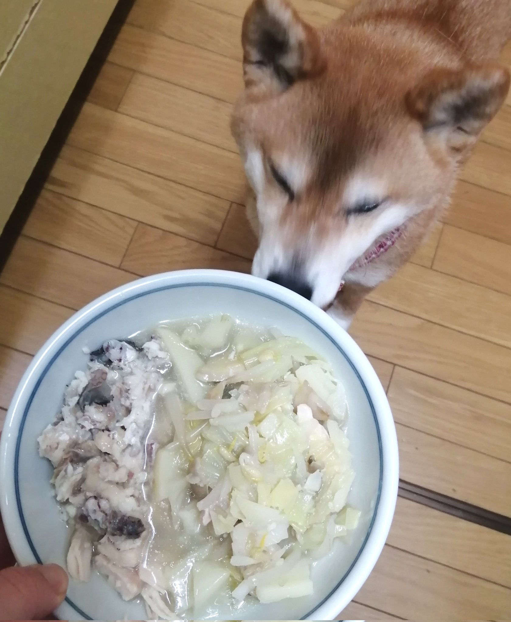 手作り食 Twitter Search Twitter