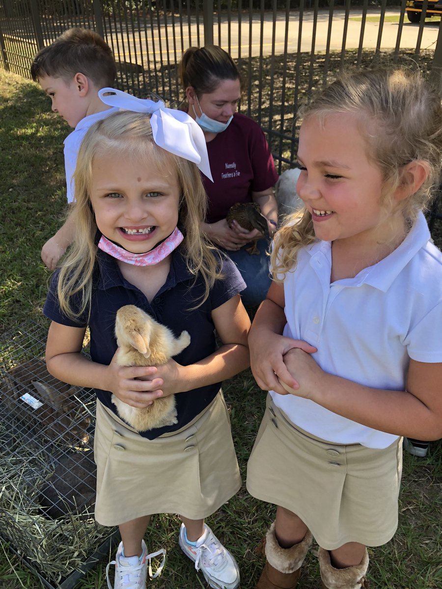 Lauren12904352's tweet photo. Hands on zoologists today in Kindergarten @rapidesschools @worleyd1003 @CharCarlberg @A_Brotherton https://t.co/6tASkLJvyH