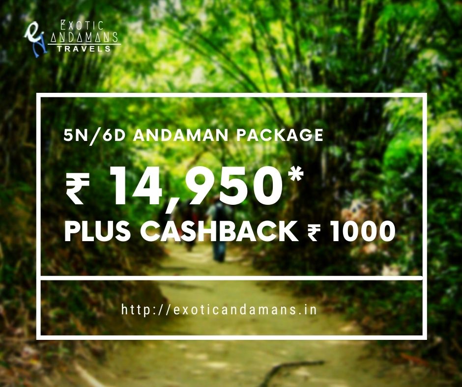 ExoticAndamans's tweet photo. 5N #AndamanPackage @ ₹14,950*
Contact Us Today to Plan the Ideal Getaway Package at a Budget Friendly Price.
Book with Us for Incredible Deals on Fun and Interesting Travel Packages.
For details
Visit: https://t.co/8cMprAB6Ub
#andamanholidays
#ExoticAndamans https://t.co/a9Sc2EADVu