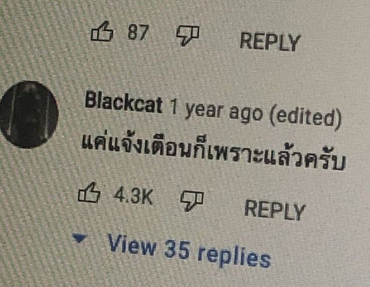ปลารันยาปี้ tweet media