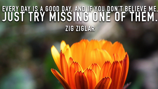 TheZigZiglar tweet picture