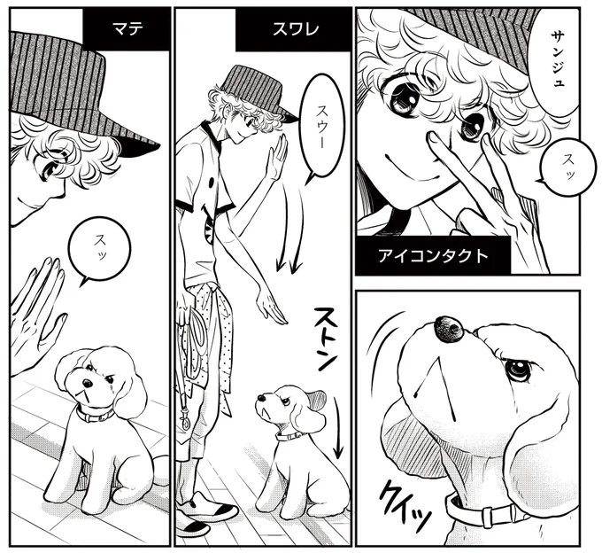 /#DOGSIGNAL が11時11分をお知らせします\今週の平日もお疲れさまでした本日は最新6巻からおりこうなサンジュをどうぞストンの時の表情が良いですね…。最新話も更新されていますので、未読の方はお昼のツイートからどうぞそれでは明日も#DOGSIGNAL をよろしくお願いします 