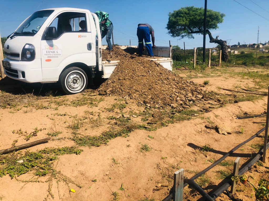 BenicaTheFarmer's tweet photo. Chicken manure👌
Rich in Nitrogen and a good amount of Potassium and Phosphorus.
Swiss Chard another easy Crop to grow.
Cypermethrin Pesticides
Mancozeb for Fungicides

Let's farm 🌱 https://t.co/zvvytEP5So
