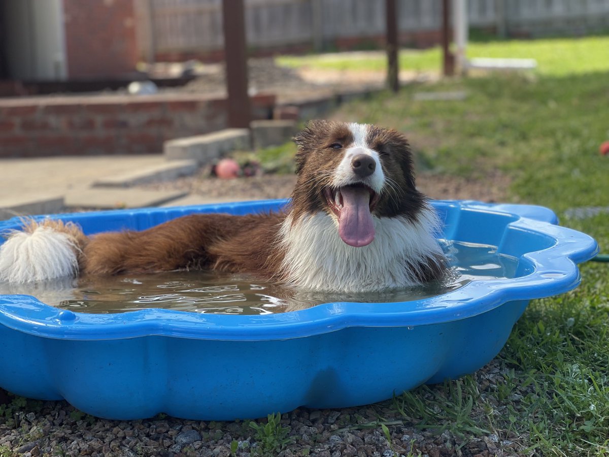 SaysEmmaField's tweet photo. Happiness is…swimming on a warm day #hellosummer #goodbyelockdown https://t.co/JR23R7vlca