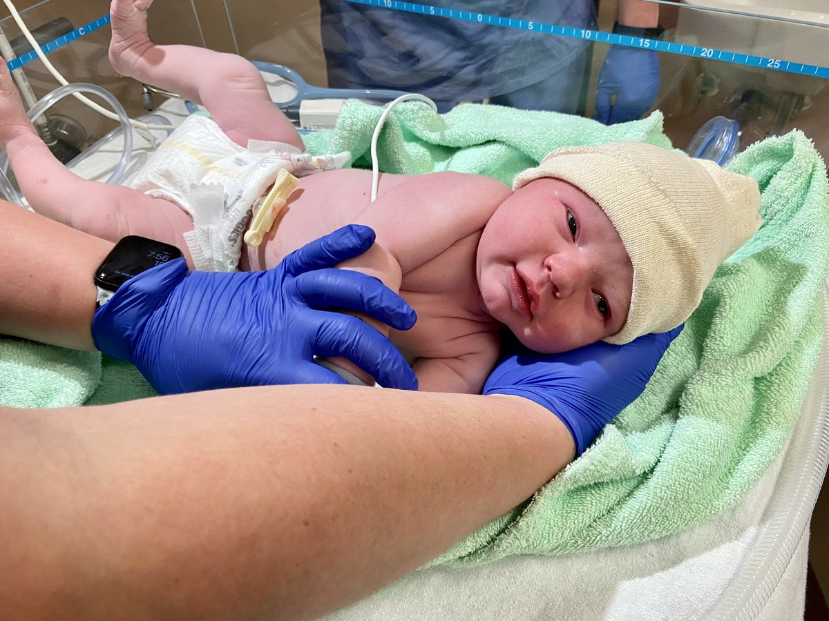 Ellen Petersson tweet media