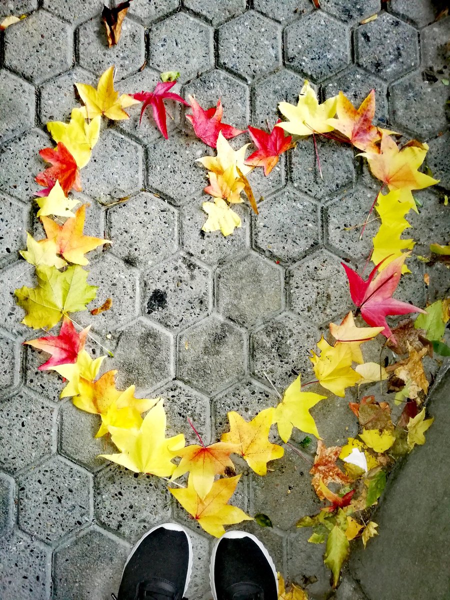 Loki (@deinemutti7) on Twitter photo 