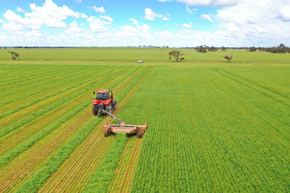 AGRIvisionag's tweet photo. Growers are in full swing cutting/baling oaten and vetch hay at the moment which is proving to be tricky with the recent rains in most areas.

Photo taken just south of Hopetoun. https://t.co/1a1TtPsoUJ