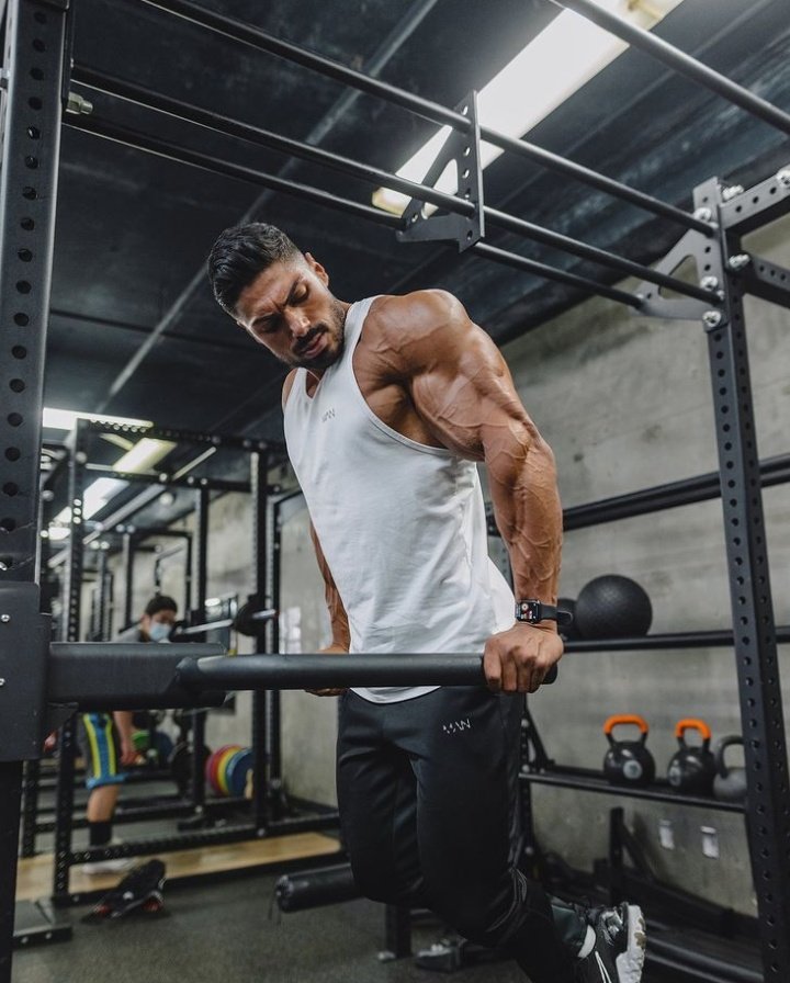 Magic fox workout deltacruise