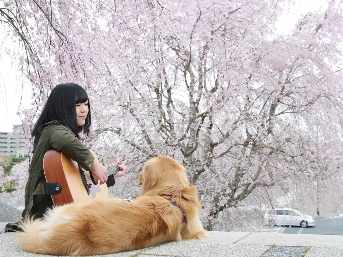 犬と私の10の約束 感想 考察 最新情報まとめ みんなの評価 レビューが見れる ナウティスモーション