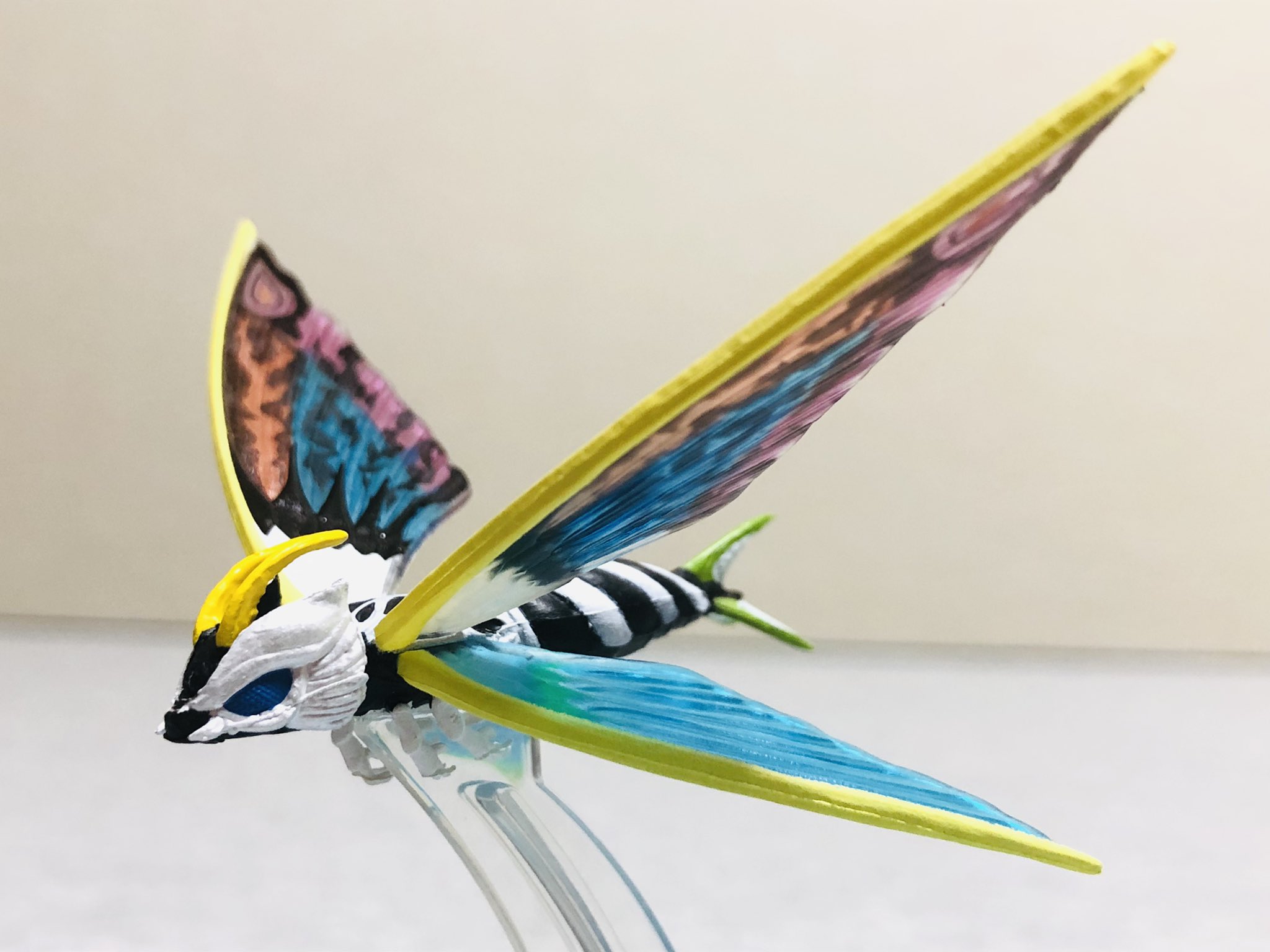 コシチャイム　アクア　テラ Amazon.co.jp: コシチャイム テラ