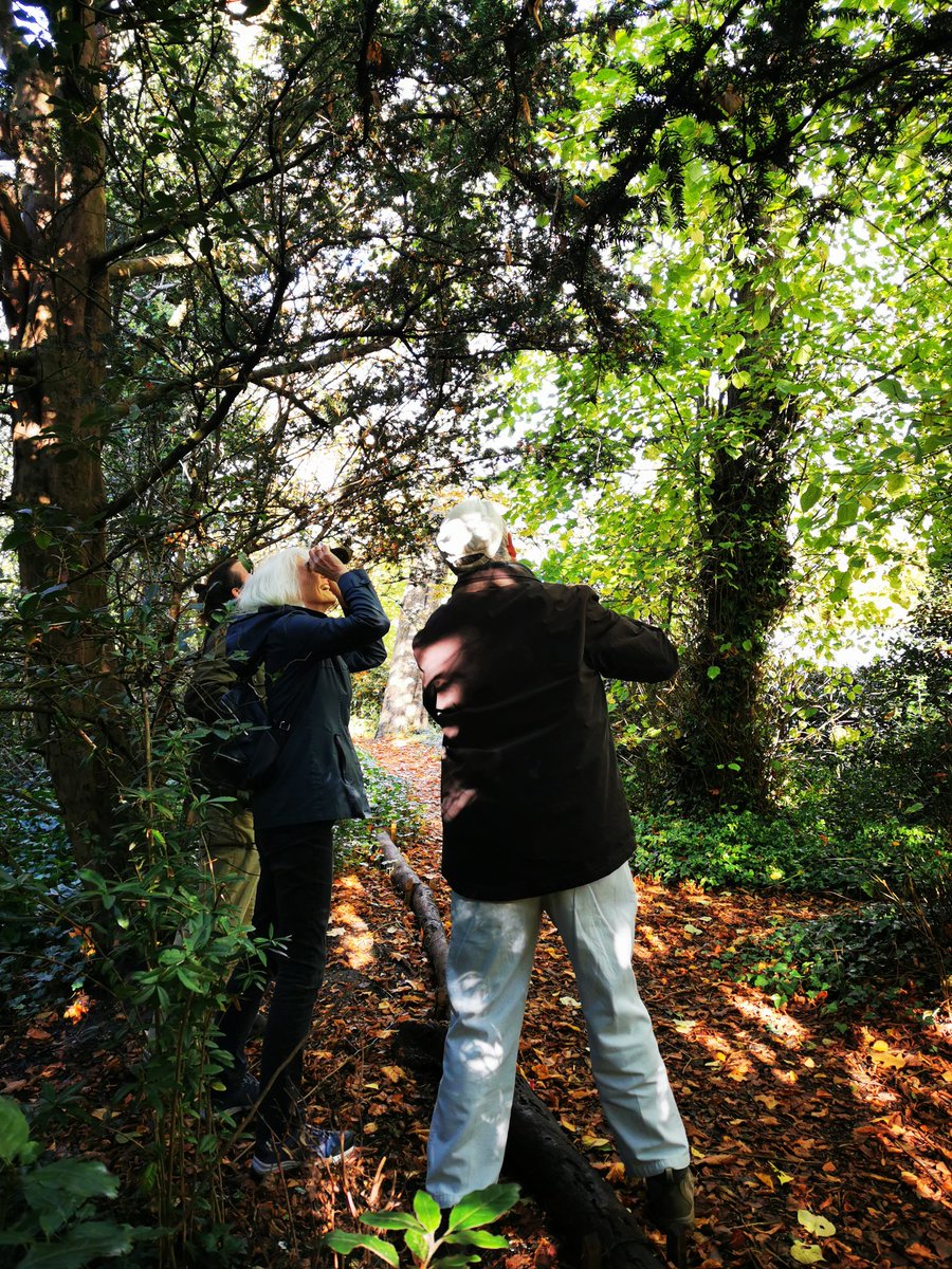 LeapingForwardforDementia@froglife tweet media