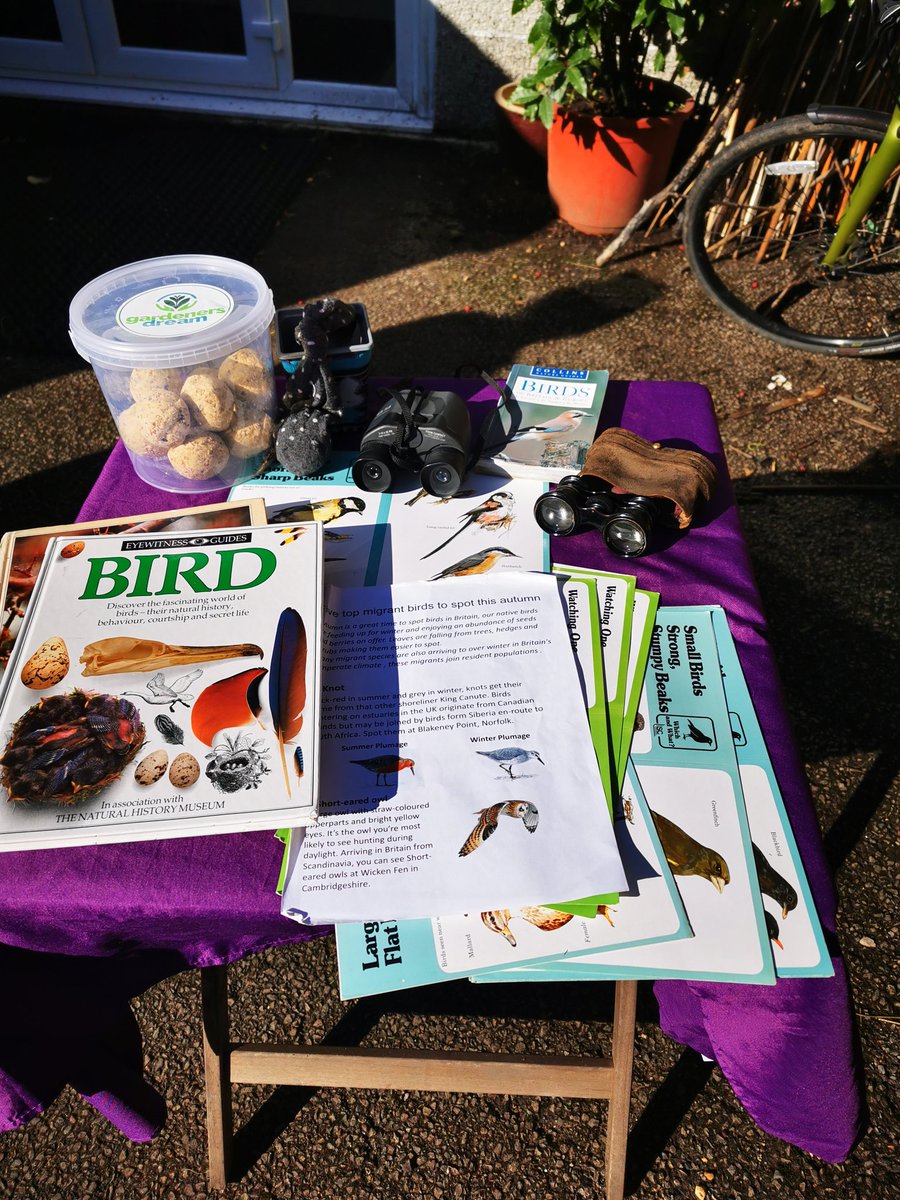 LeapingForwardforDementia@froglife tweet media