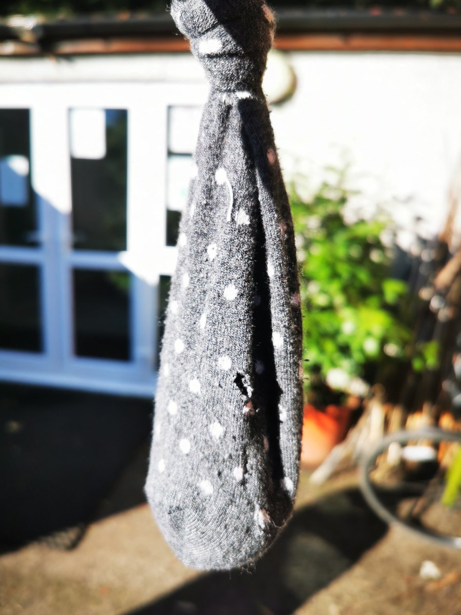 LeapingForwardforDementia@froglife tweet media