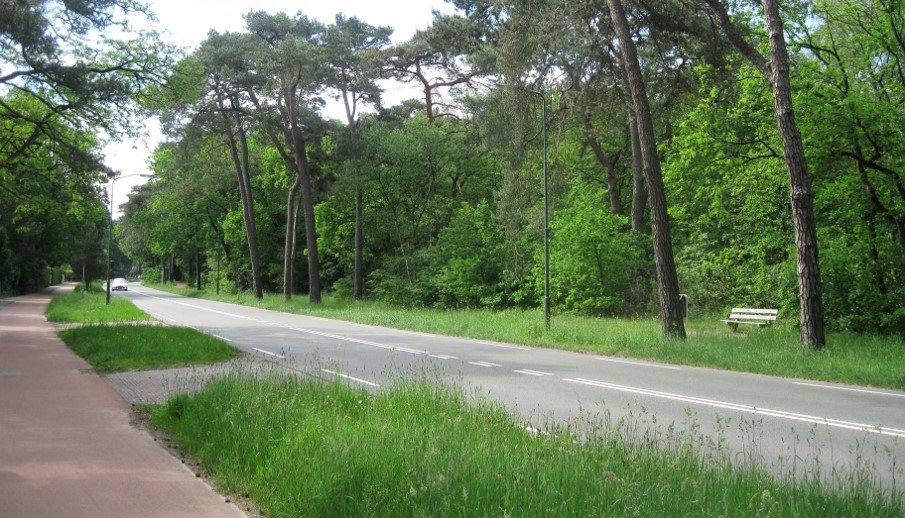 GroenIn033's tweet photo. Vijf jaar geleden viel het besluit. #Amersfoort zou 3800 bomen gaan kappen voor de #WestelijkeRondWeg. In 2019 zijn er 1500 bomen omgehaald. Met de #Verkiezingen2022 gaan we stemmen voor het redden van 2300 bomen! @klimaatmars #RedDeBoomKapDeWeg https://t.co/s47qXSQvj8
