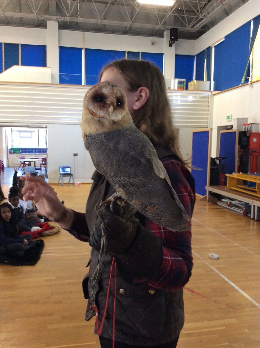 RFitzroyAcademy's tweet photo. Year 3 are so excited to have Charlotte and her beautiful friends visit from @kentowls to enrich our Predators topic. A fantastic way to end our half term! #scienceatRFA #livelearning https://t.co/j4wR97R8cw