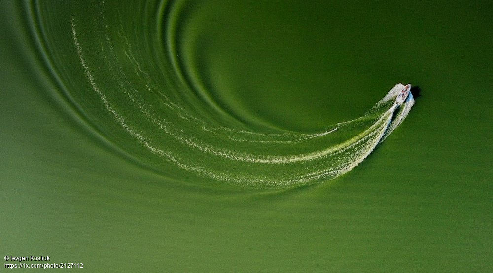1x_com's tweet photo. 'Like a Bird' by levgen Kostiuk.
https://t.co/N1zCtSW10c #birdperspective #aerial #water #boat #birdshape #green https://t.co/7ZveDtqy0m