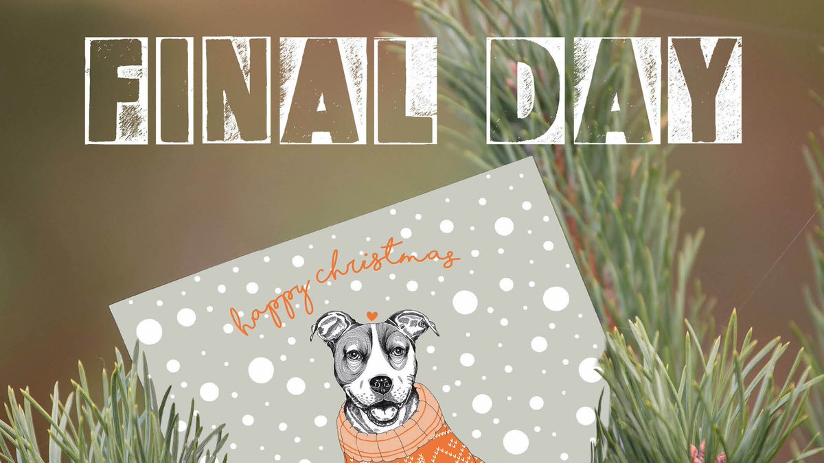 ArtDotty's tweet photo. It’s the FINAL DAY to buy The Dogs on the Streets Charity Xmas cards. Thank you for all your support so far🧡 xxxx

https://t.co/hdPf8C4uH7

100% OF PROFITS GO DIRECTLY TO DOTS

#togetherwecanmakeadifference https://t.co/7uECouolpW