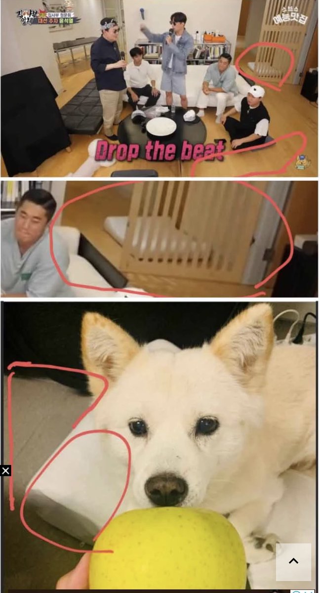 [토리사진] 윤석열 집에서 찍은 사진이 맞다는 네티즌 주장이 나왔습니다. 집사부일체 촬영에 찍힌 방석과 동일하다는 분석입니다.