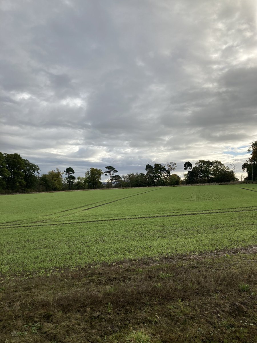 Lothian farm helping to tackle climate change. Soil management, wildlife corridors and enhancing biodiversity. <a href="/NFUStweets/">NFU Scotland</a> <a href="/qmscotland/">QMS</a> <a href="/SACFarm4Climate/">Farming For a Better Climate</a> #farmingforthefuture
