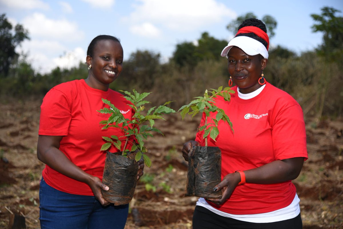 KRACare's tweet photo. #ProjectGoGreen is still ongoing. Over 200 staff from the Nairobi region are on-site at Ngong Road forest. Over 250 mixed breeds of trees are being planted.
#Taxpayersmonth2021 #Treeplanting #SDGs #ClimateAction https://t.co/p6hAWFgQ9x