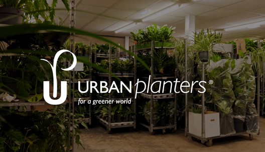 We worked with Thomas Palfreyman, MD of Urban Planters to fund their recent acquisition of Paul Lomax Ltd.

Urban Planters are a family-owned business providing horticultural services across Chelmsford, Cambridge and East &amp; South West London.

Learn more:

bit.ly/3viwrxL