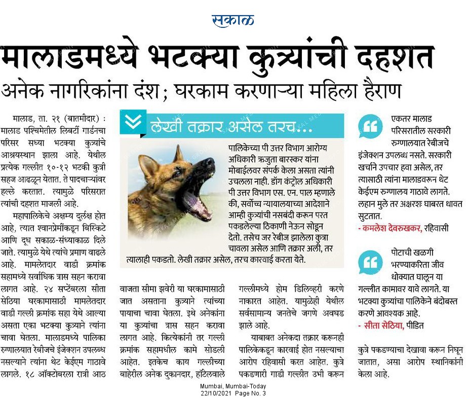 deokamlesh's tweet photo. Many thanks to Sakal News Paper and special thanks to Vinod Raut and Nisar Sayyed beacuse of their efforts one dog out of seven has been caught by Bmc department. It's Sakal Impact. Hope operation will cont. On stray Dogs. @rautvin @mybmc @mybmcWardPN @KishoriPednekar @OfficeofUT https://t.co/XoGOrr9Amm