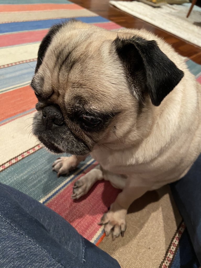 Maico K Maicoro 04 Twitter