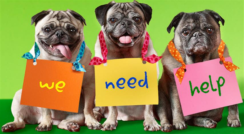 The GDAU might be on the lookout to enlist help for the leadership team in 2022. If you're interested, please contact <a href="/NikPantis/">Nik 🌸</a> on Twitter!