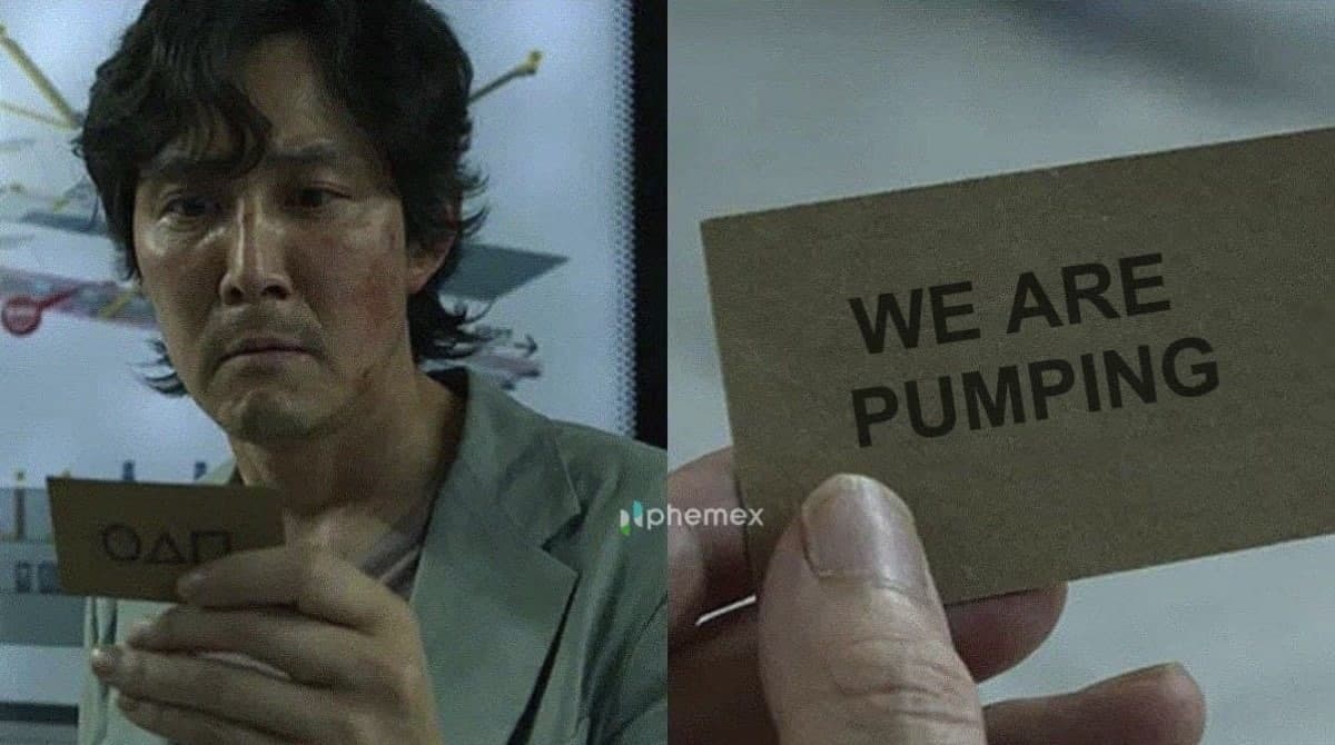 Phemex_official's tweet photo. Did you receive the message? 😁

#Phemex #Crypto #meme #squidgame #pump https://t.co/ls7nIcvtVd