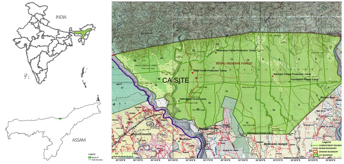 Behali Reserve Forest tweet media