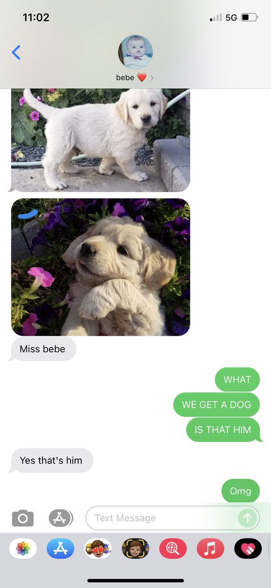 lvurenx's tweet photo. when ur anxious about moving and tell ur bf a dog would help and he gets you a dog 🥺😍 https://t.co/m1BtvLaWCj