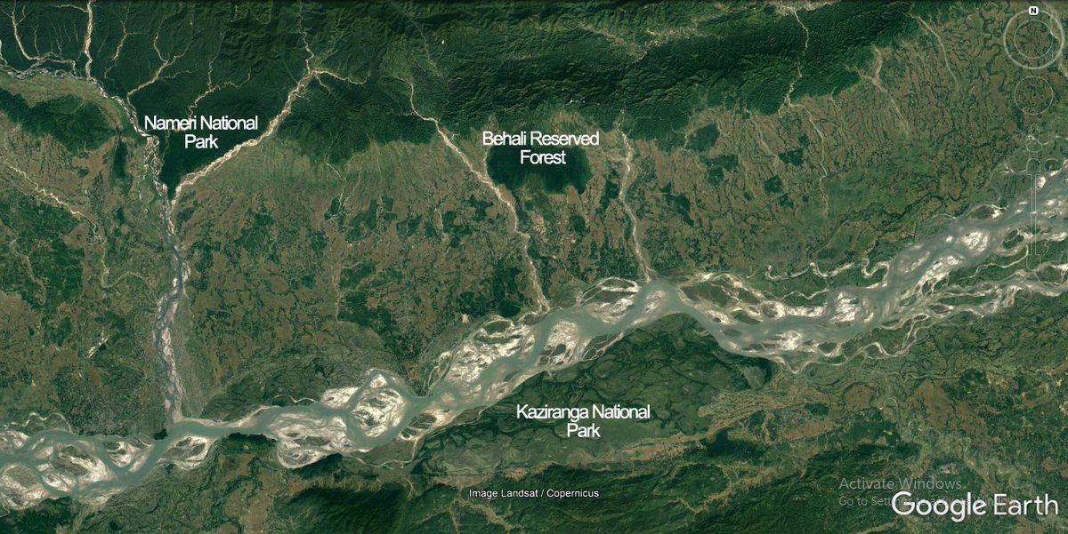 Behali Reserve Forest tweet media