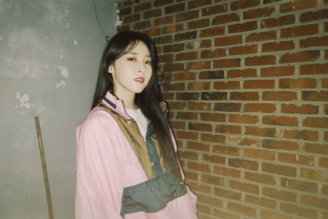 soleilbyul's tweet photo. 🐹 👚🩳
⠀
#m_f
#instantfunk
🐶 don’t wear pink. it’s harmful for the heart. https://t.co/n1EVukwEYg